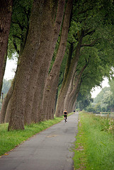 Bike path in Bruges