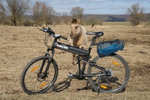 Montague bike in the bush.