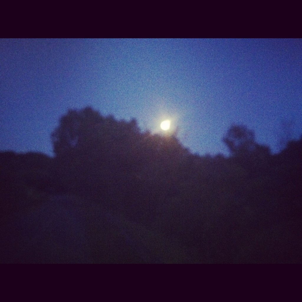 Moon over Meadow