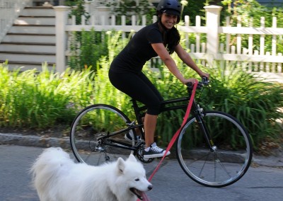 2015 Montague FIT folding bike riding with dog