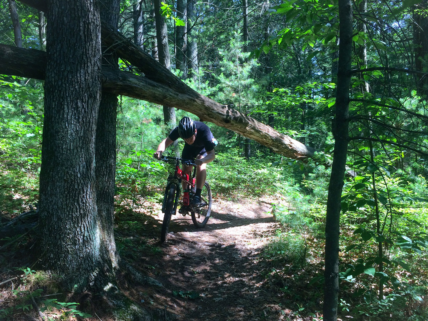 Great Brook Farm State Park MTB