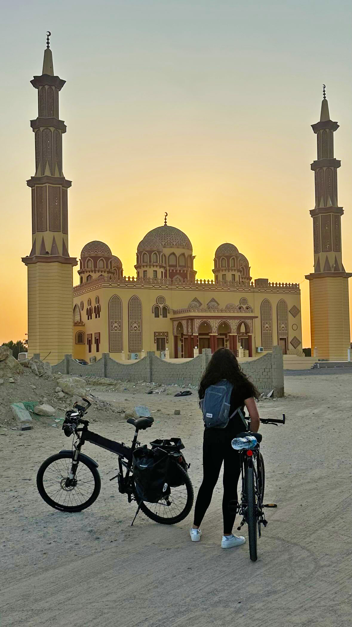 Montague Paratrooper Pro Mountain Bike overlooking a temple