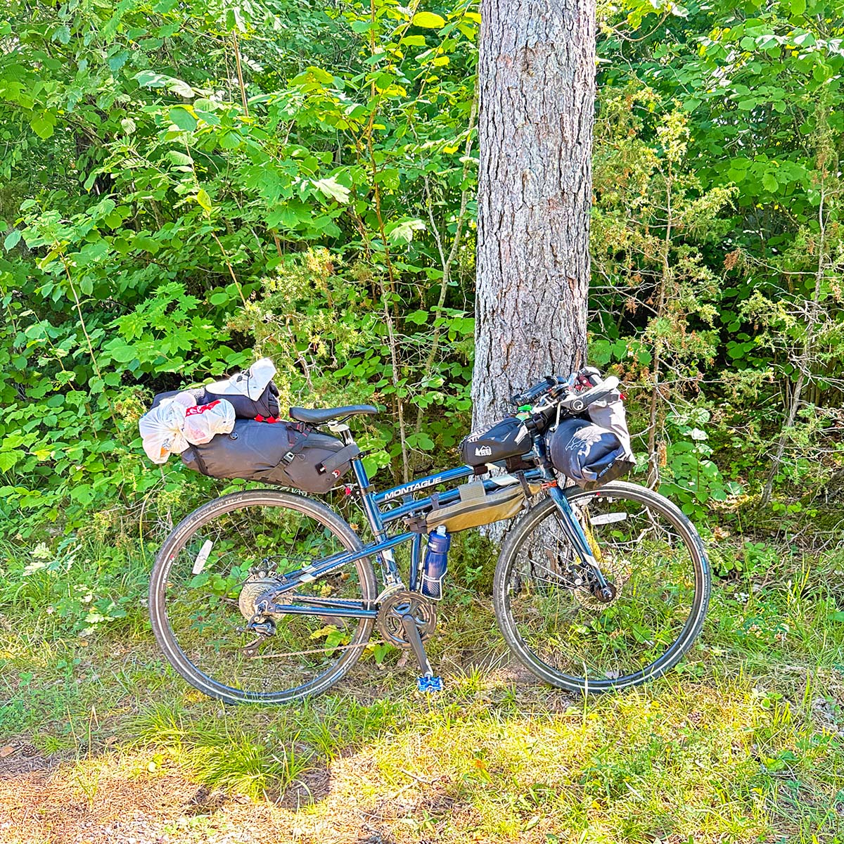 Bikepacking Estonia with a Montague Navigator folding bike