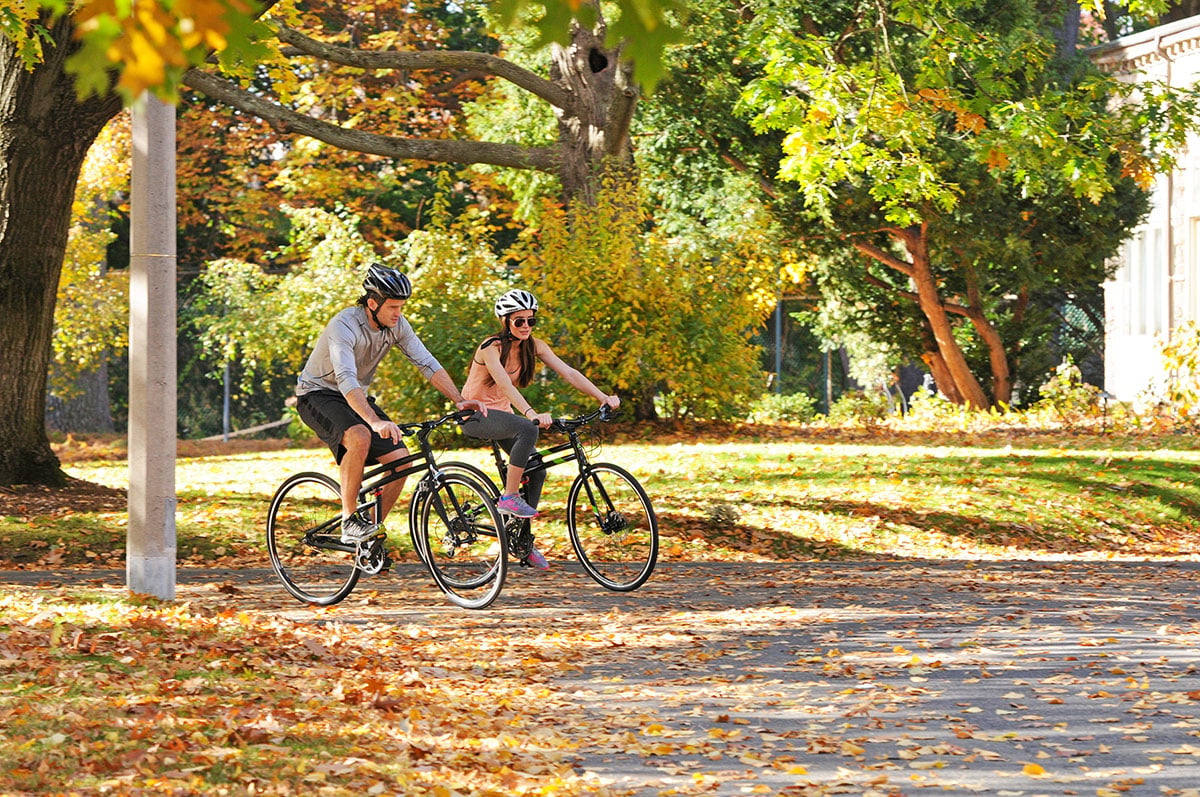 Commuting in the fall on a Montague folding bike