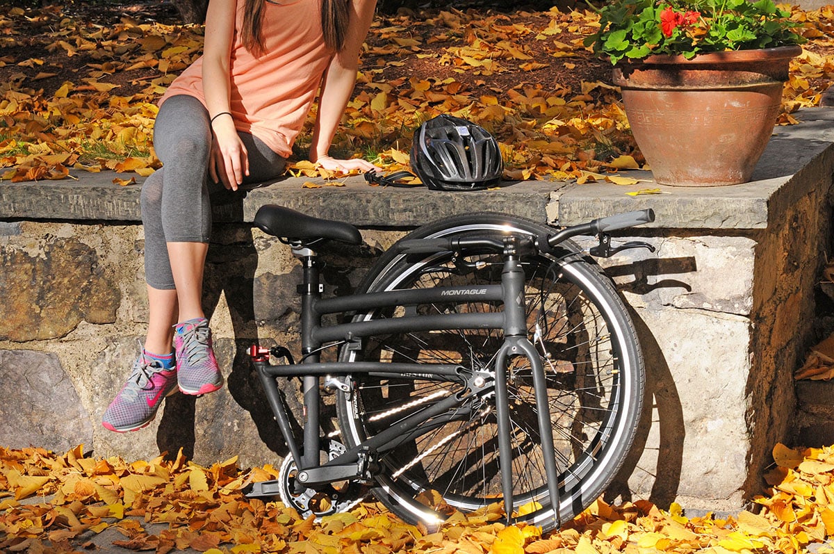 Montague Boston Pavement Bike folded with leaves